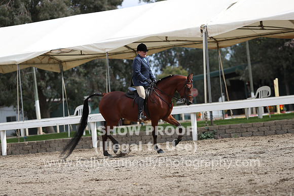 DAHA_FALL19SATPM_5397