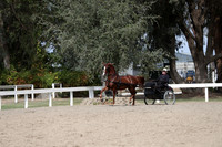 DAHA_FALL19SATPM_5423