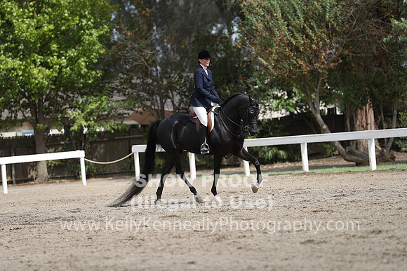 DAHA_FALL19SATPM_5399