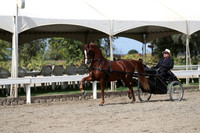 DAHA_FALL19SATPM_5428