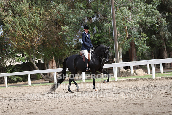 DAHA_FALL19SATPM_5400