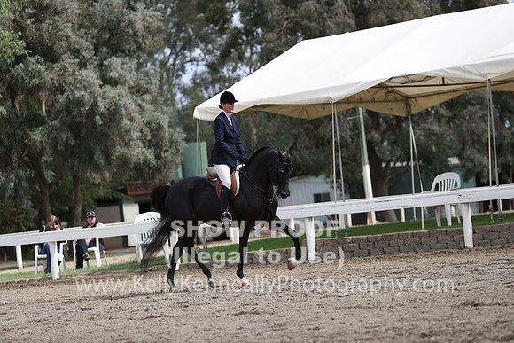 DAHA_FALL19SATPM_5402