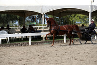 DAHA_FALL19SATPM_5430