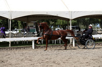 DAHA_FALL19SATPM_5431