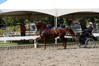 DAHA_FALL19SATPM_5432