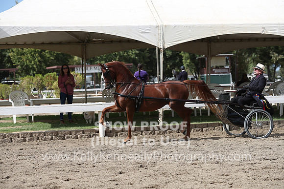 DAHA_FALL19SATPM_5432