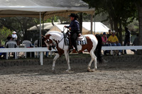 DAHA_FALL19SATPM_5445