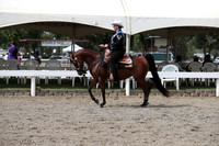 DAHA_FALL19SATPM_5454