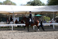 DAHA_FALL19SATPM_5543