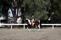 DAHA_FALL19SATPM_5502