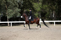 DAHA_FALL19SATPM_5544