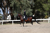 DAHA_FALL19SATPM_5545