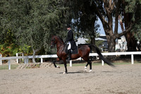DAHA_FALL19SATPM_5546