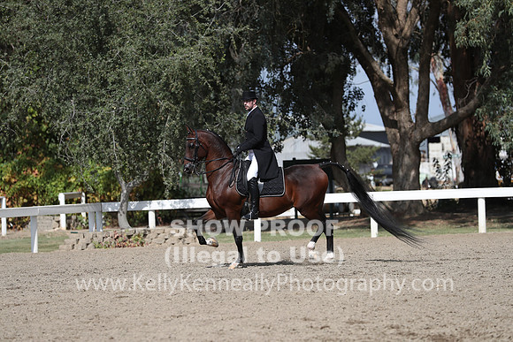 DAHA_FALL19SATPM_5546
