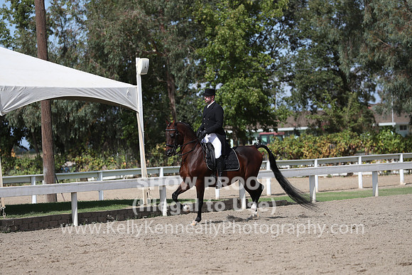 DAHA_FALL19SATPM_5549