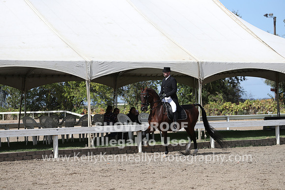 DAHA_FALL19SATPM_5551