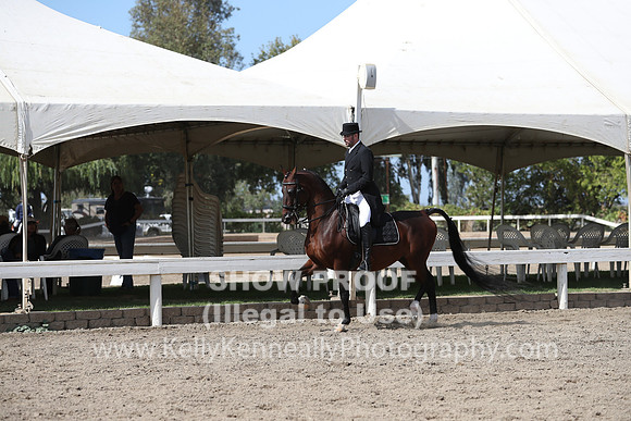 DAHA_FALL19SATPM_5552