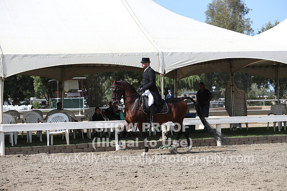 DAHA_FALL19SATPM_5553