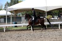 DAHA_FALL19SATPM_5554