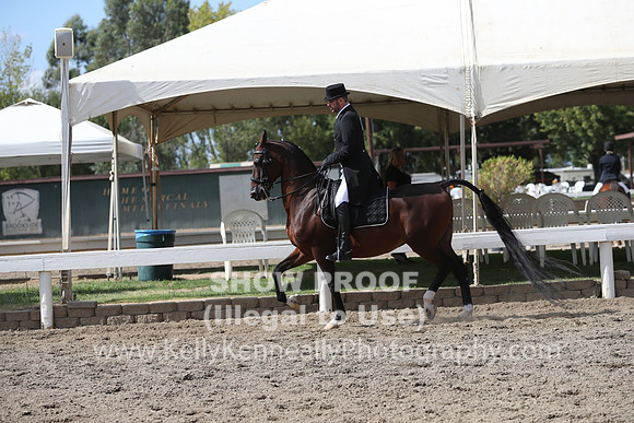 DAHA_FALL19SATPM_5554