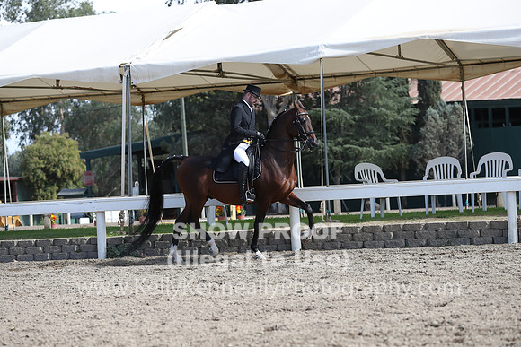 DAHA_FALL19SATPM_5555
