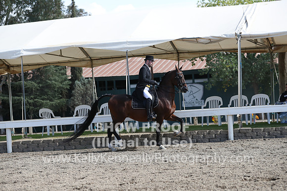 DAHA_FALL19SATPM_5556