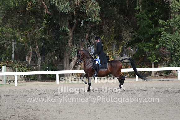 DAHA_FALL19SATPM_5564