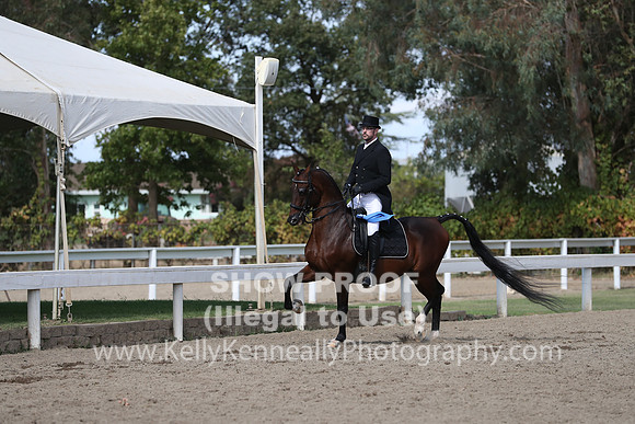 DAHA_FALL19SATPM_5570