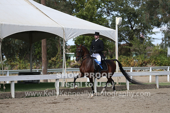 DAHA_FALL19SATPM_5571