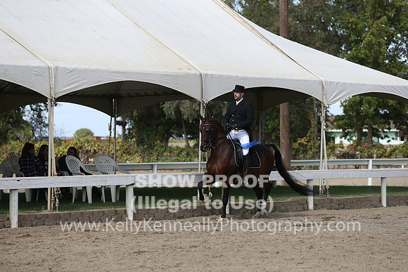 DAHA_FALL19SATPM_5572