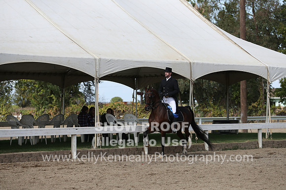 DAHA_FALL19SATPM_5573