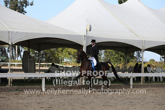 DAHA_FALL19SATPM_5575