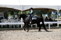 DAHA_FALL19SATPM_5601