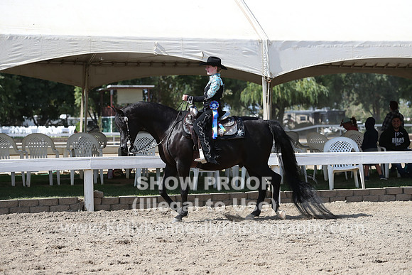 DAHA_FALL19SATPM_5602
