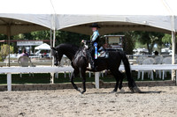 DAHA_FALL19SATPM_5603