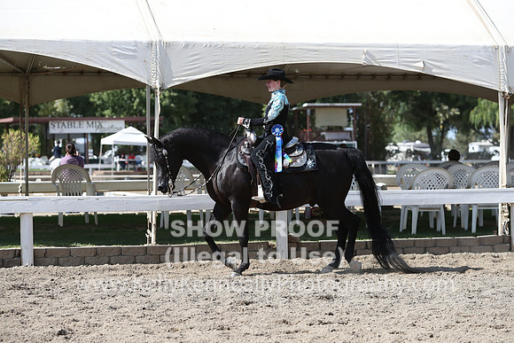 DAHA_FALL19SATPM_5603