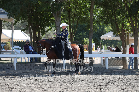 DAHA_FALL19SATPM_5617