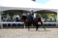 DAHA_FALL19SATPM_5635