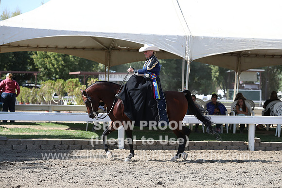 DAHA_FALL19SATPM_5639