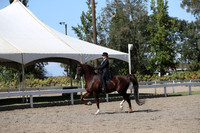 DAHA_FALL19SATPM_5642