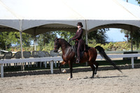 DAHA_FALL19SATPM_5647