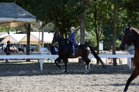 DAHA_FALL19SATPM_5649