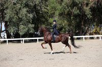 DAHA_FALL19SATPM_5650
