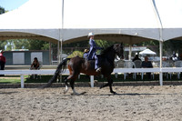 DAHA_FALL19SATPM_5667