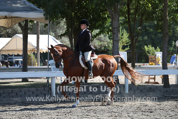DAHA_FALL19SATPM_5701