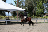 DAHA_FALL19SATPM_5705
