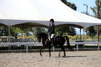 DAHA_FALL19SATPM_5709