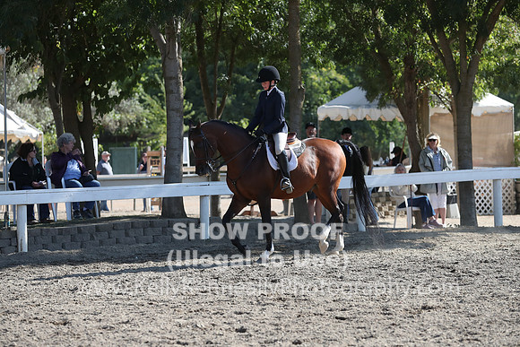 DAHA_FALL19SATPM_5781