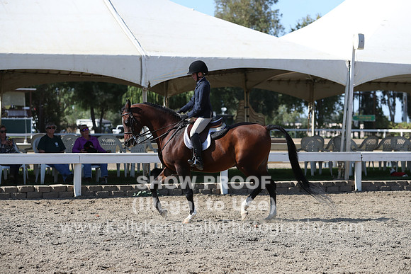 DAHA_FALL19SATPM_5786