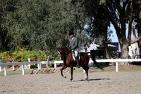 DAHA_FALL19SATPM_5849